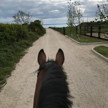 Loughanmore Court House *