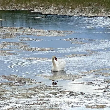 Loughanmore Court House * Dundalk