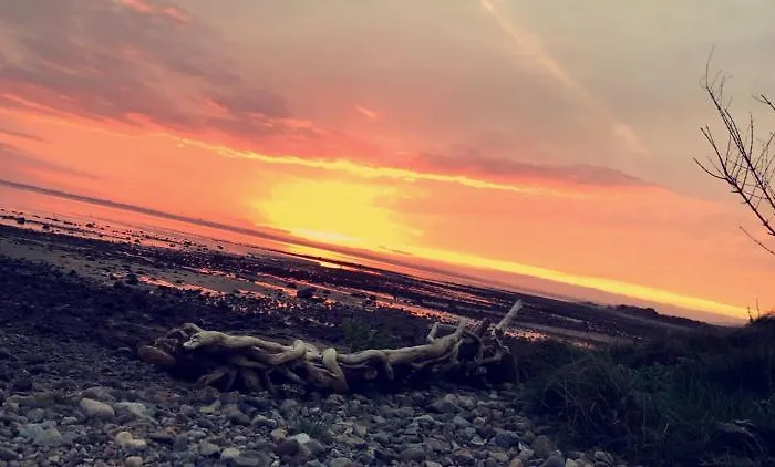 Loughanmore Court House Luksustelt *