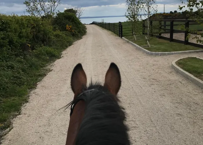 Loughanmore Court House *