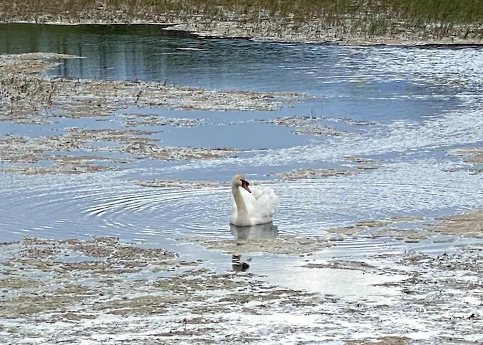 Loughanmore Court House * Dundalk